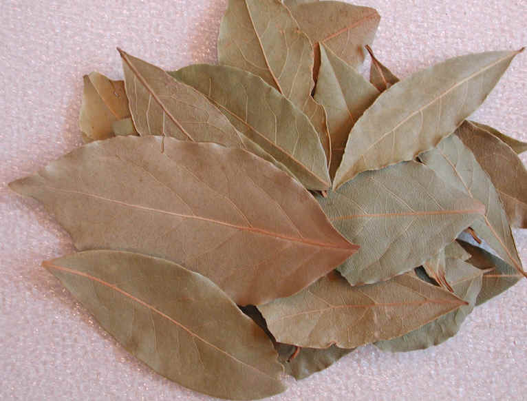 bay1_dryleaves.jpg