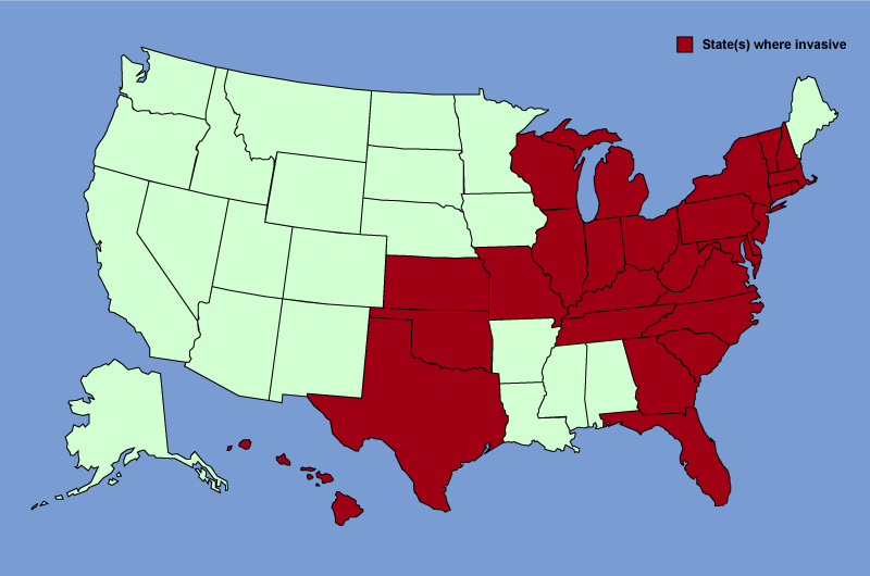 honeysuckle1_distribution_map.gif